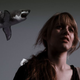 Illustration for article titled Sharknado